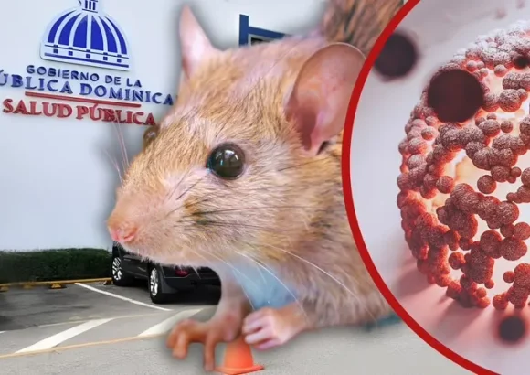 19 people have died from leptospirosis so far this year in the Dominican Republic