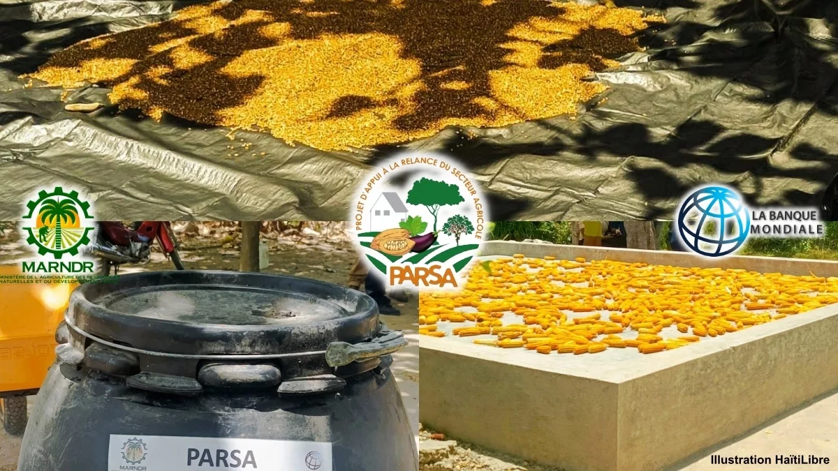 Agriculture : Donation of post-harvest equipment to reduce losses and improve incomes