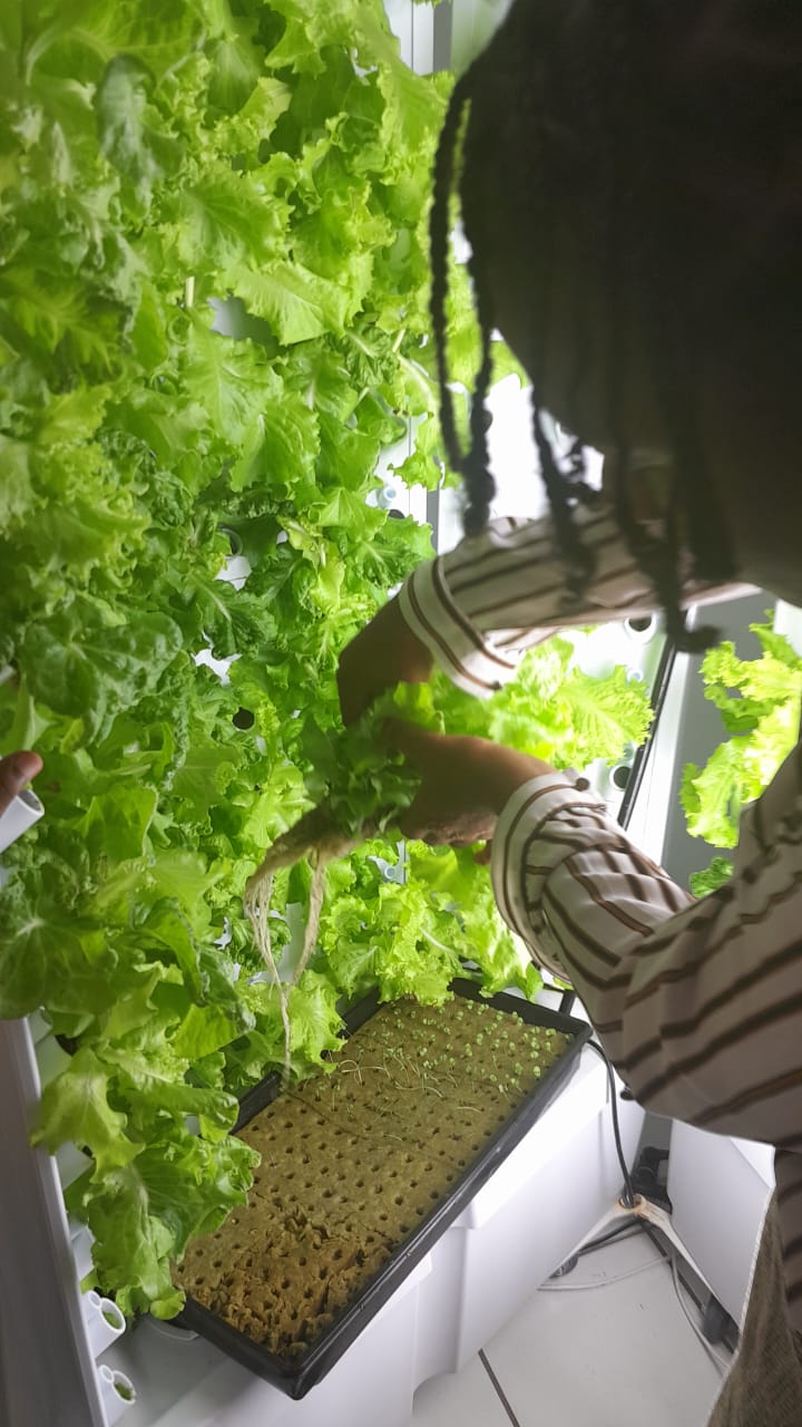 Reach Within champions food security through community-led solutions