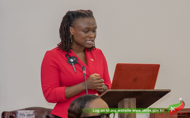 Online platforms enhancing social services delivery in Saint Kitts and Nevis