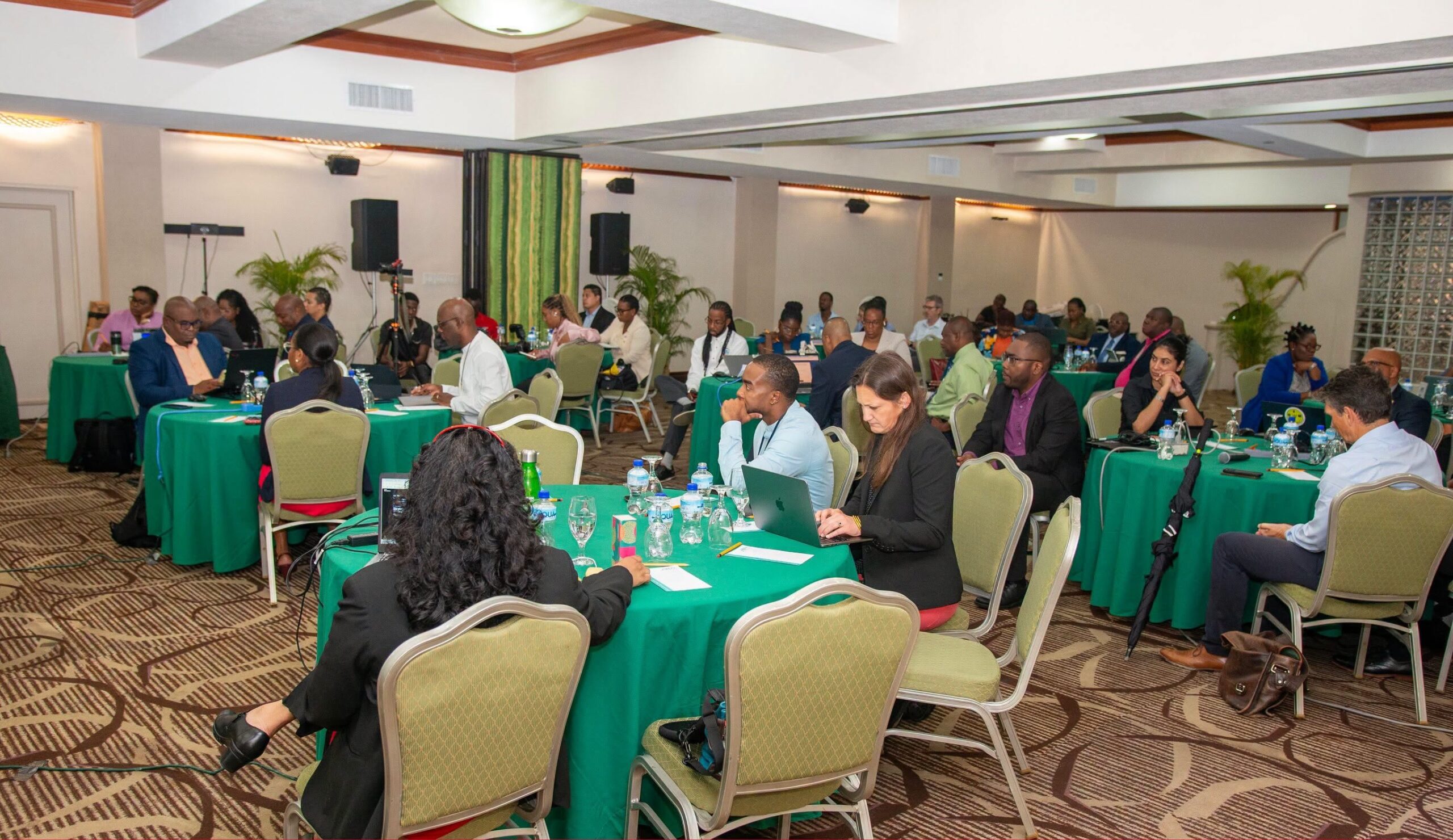 Can Grenada count on the regional safety net?