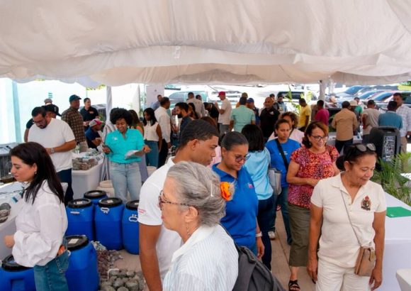 First Larimar Sales Fair highlights 15,000 pounds of raw stone available in Dominican Republic
