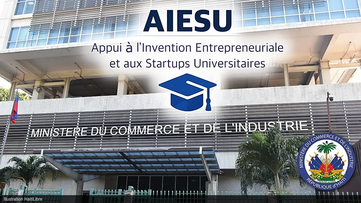 Call for Expressions of Interest : Project to support entrepreneurial invention and startups