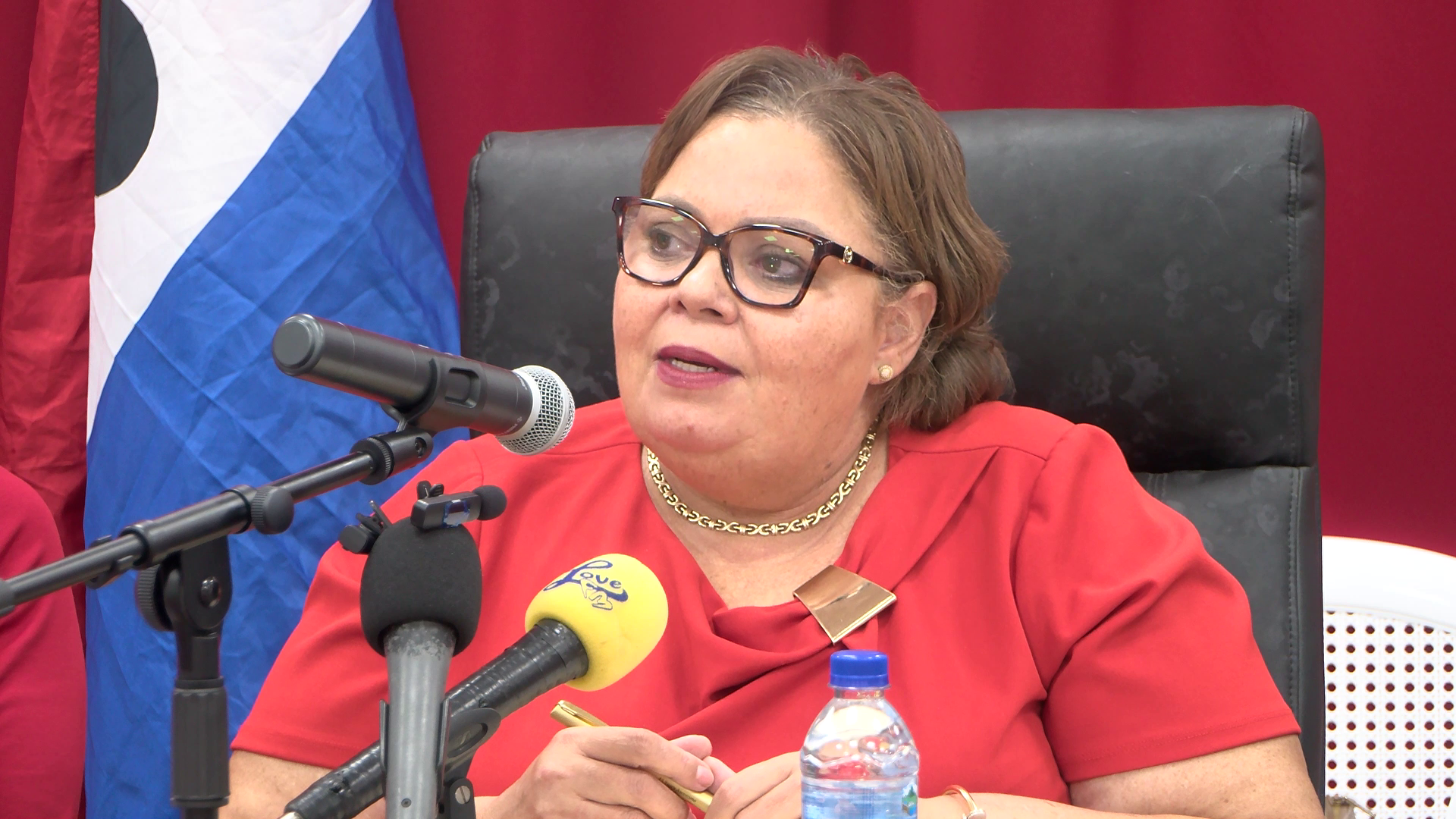Panton Warns Revenue Bill Gives PM Sweeping Powers