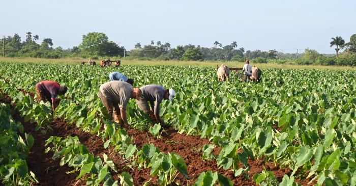 Díaz-Canel met with representatives of the Cuban private sector