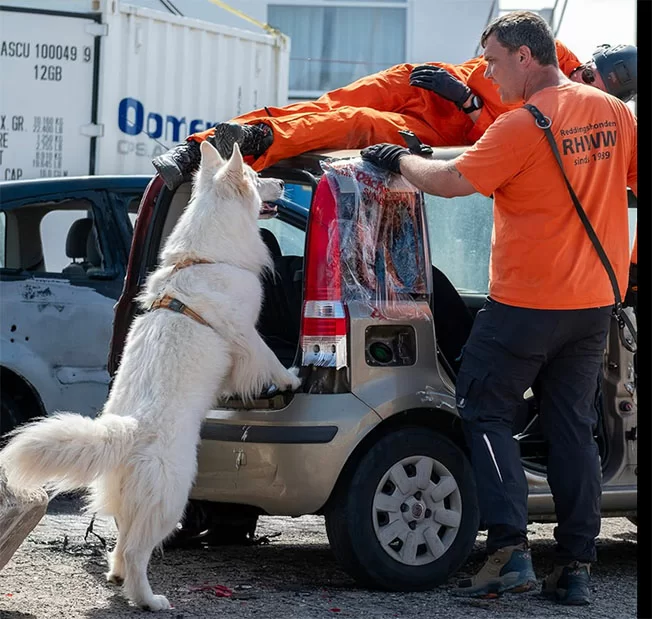 OM geeft toestemming voor inzet Nederlandse reddingshonden bij zoektocht Leysner