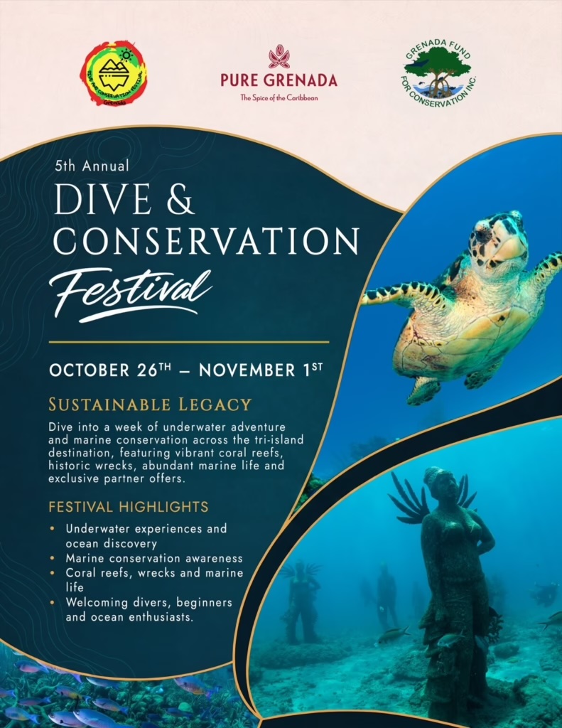 GTA announces 5th Annual Dive and Conservation Festival
