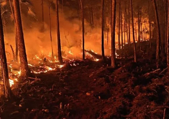 What stage is the fire in the Sierra de Bahoruco at?