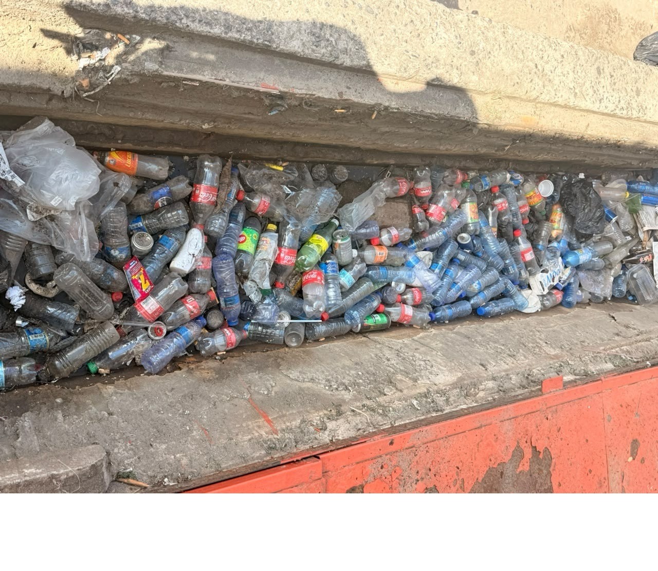 City Council in all out war against litterbugs