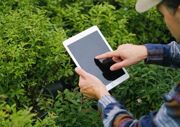 EPO: digital agriculture patent applications growing at record pace