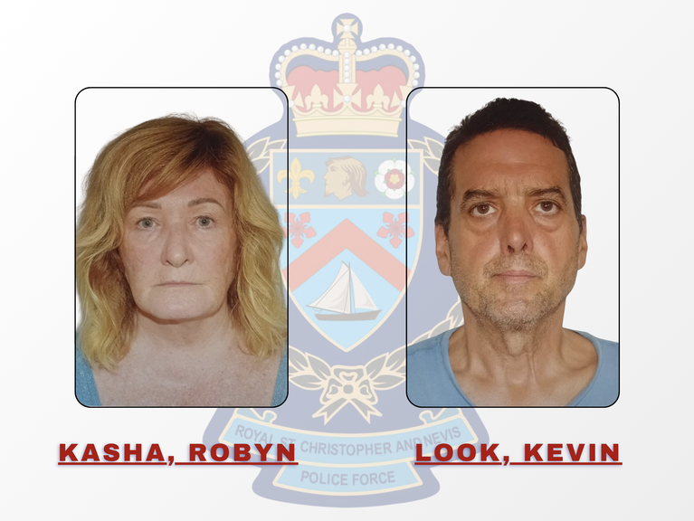Canadian duo charged over firearms and ammunition seizure