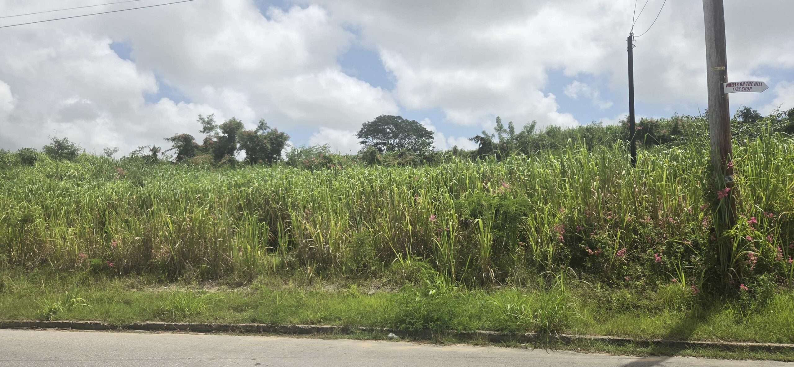 Lower Burney residents urge drainage, utility fixes before new housing