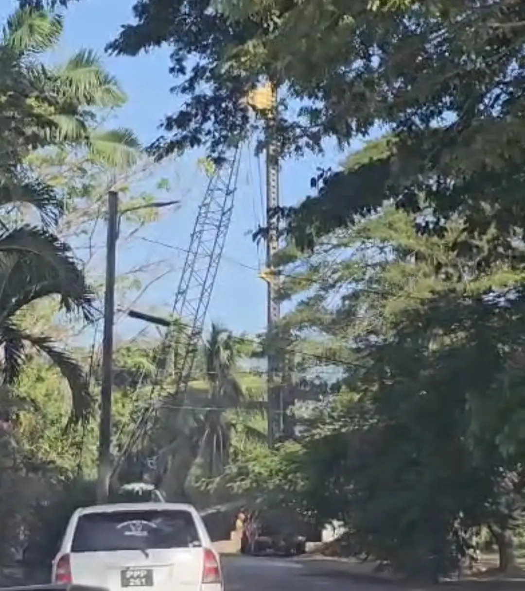 GPL silent on Meadowbrook Gardens health and safety concerns about transmission line