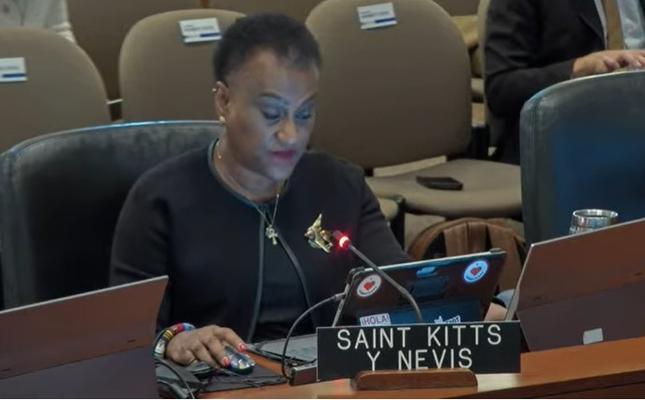 St. Kitts and Nevis outlines sustainable development push at OAS forum