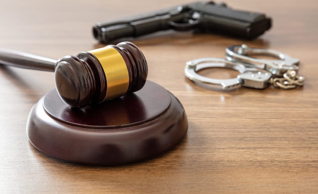 Gun court records first guilty plea